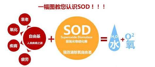 老牌子大宝sod蜜现在还有卖的吗,大宝sod蜜用了十年效果