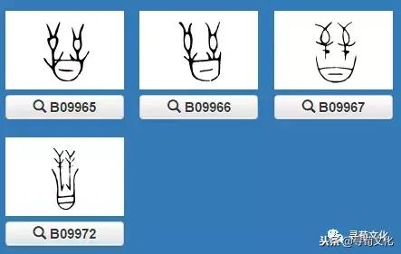 汉字的艺术和中华姓氏文化,字与传统姓氏文化之间的关系