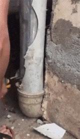 搞笑gif开心,搞笑gif开心视频