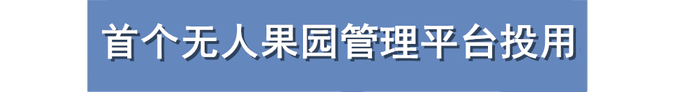 重庆巴南白居寺大桥最新现况,白居寺长江大桥合龙成功直播回放