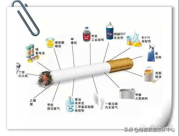 青少年拒绝*草烟**倡议书
