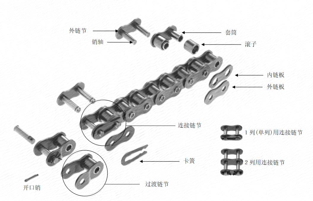 椿本链条和易格斯链条,solidworks椿本链条