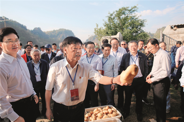 院士专利无偿送农民,农民院士朱有勇的终极梦想