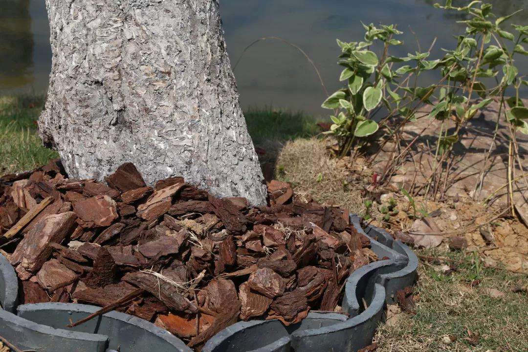 小型工厂化养殖小龙虾,小龙虾饲养家庭