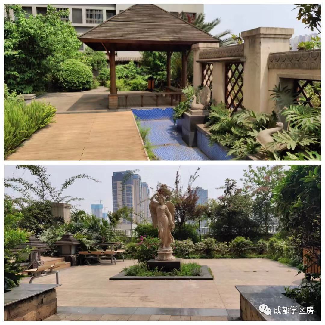 建设路附近学区房,热门双半径学区房