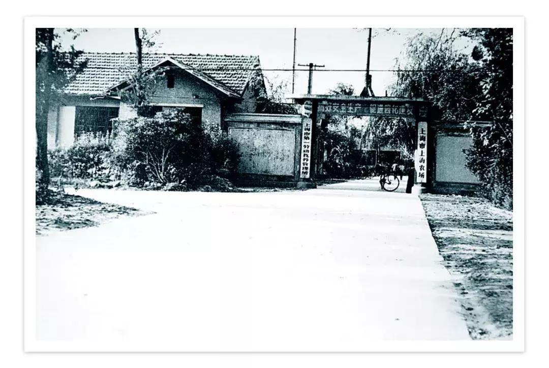 盐城大丰农场上海,盐城大丰生态农场