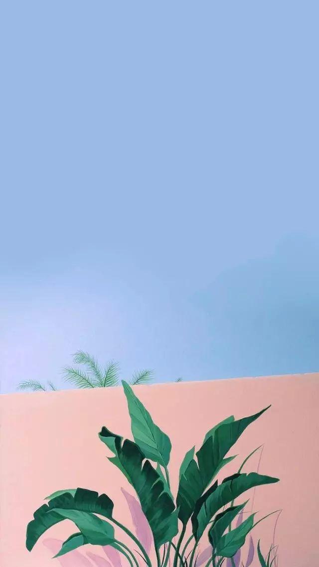 老虎壁纸超清4k手机壁纸iphone,iphone壁纸4k佛像壁纸