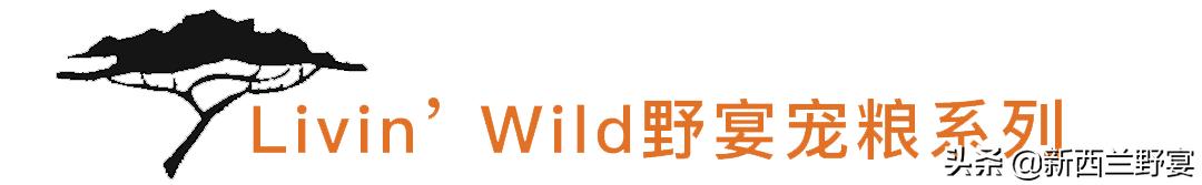 livinwild,livinwild澶滃鐚伯鍜嬫牱