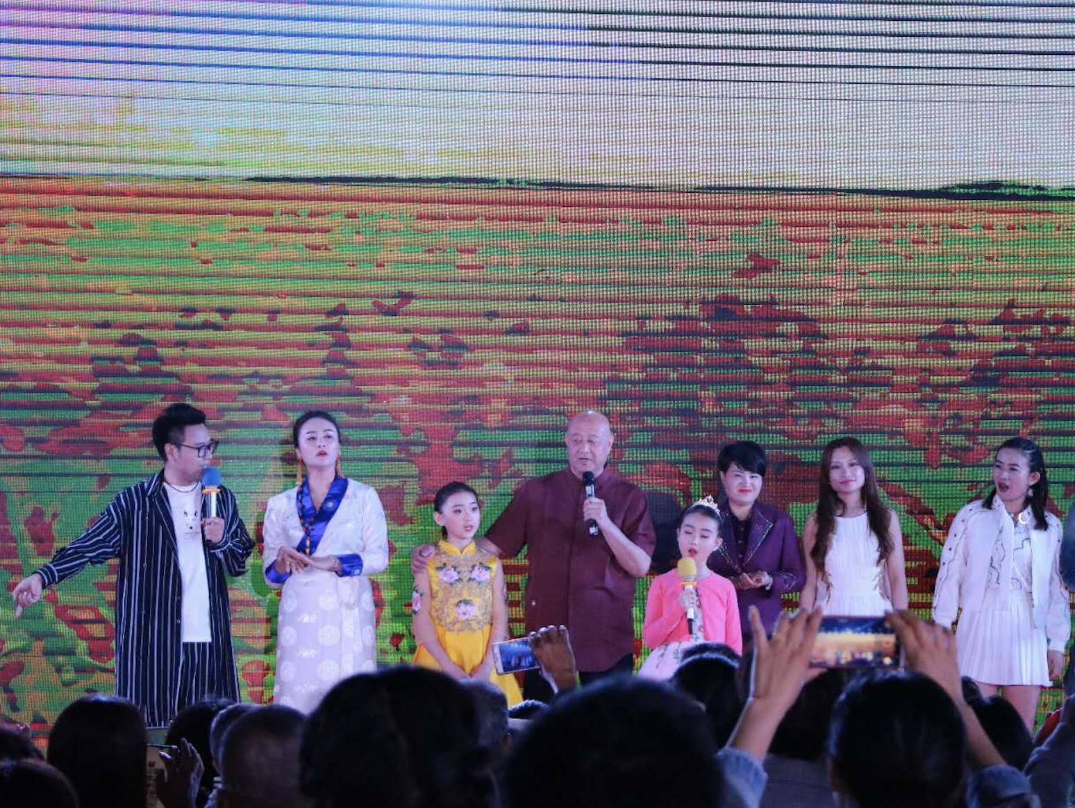 群星璀璨盛典,群星璀璨新年献礼