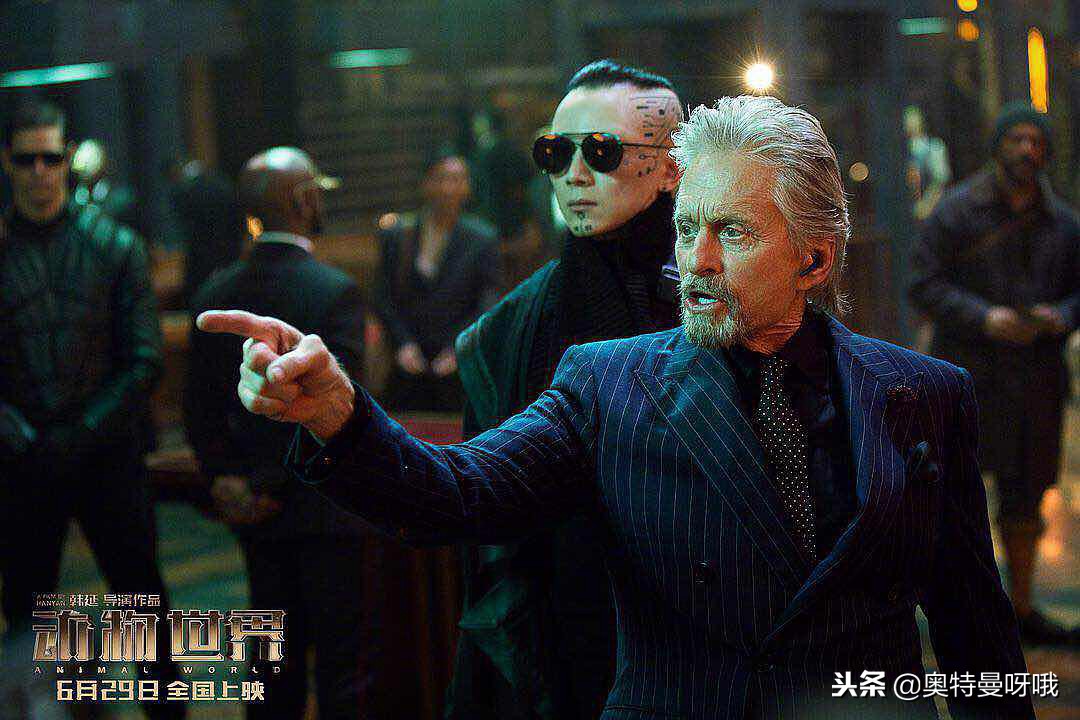 动物世界的伏笔,动物世界蕴藏的人生哲理