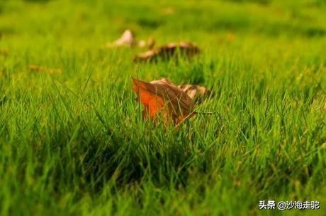 浅秋，静默，心似水