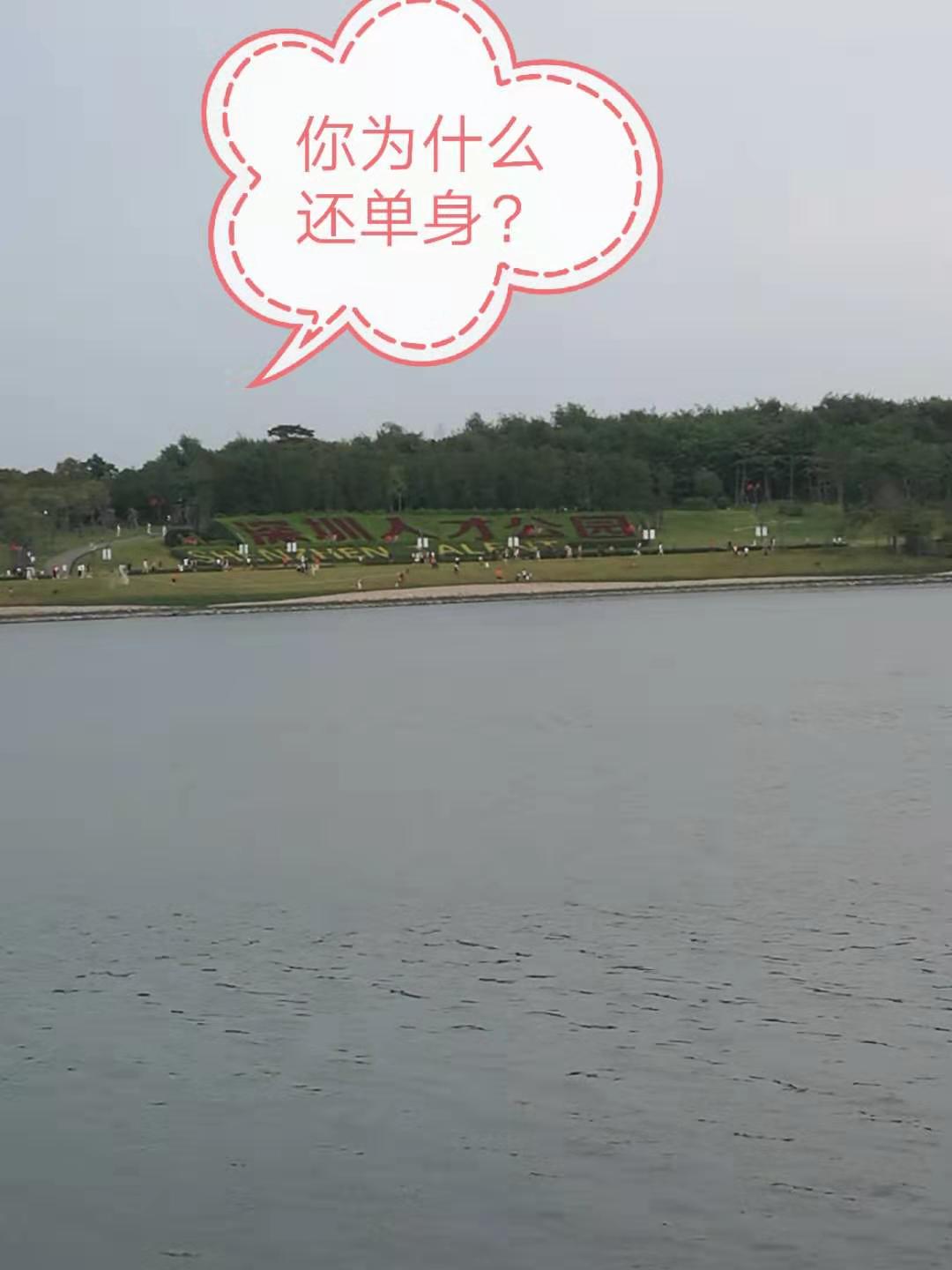 那些单身的人都去哪儿了,那些单身到老的人