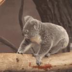 在字节上班太累怎么办,字节跳动的正确工作方式