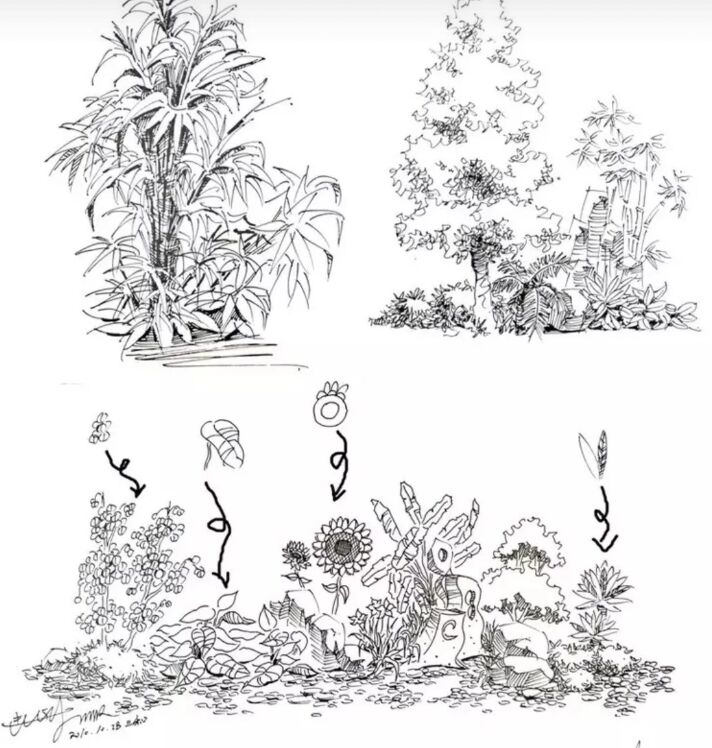 入门风景速写1000例临摹图,风景速写教你超简单的树木画法