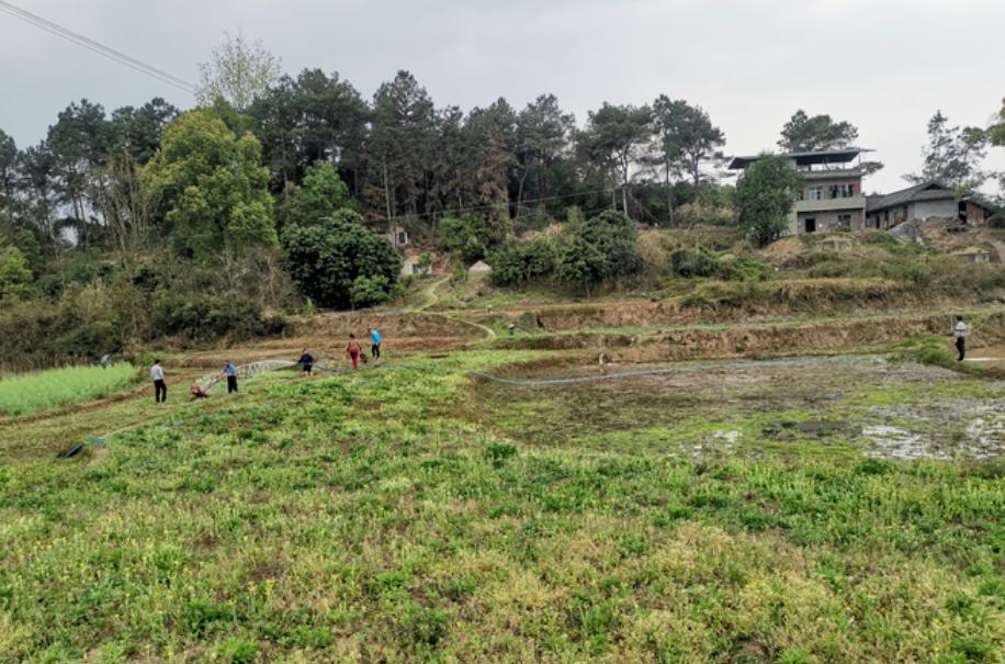 产业就业扶贫助力精准脱贫,5000亿扶贫资金