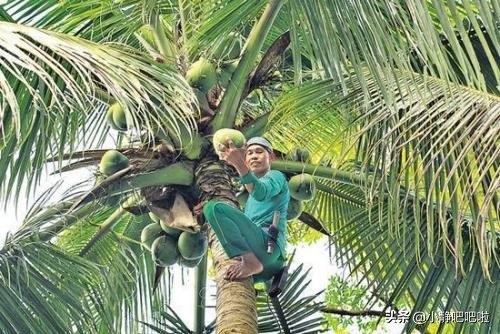 你不知道的国家冷知识乌克兰篇,你不知道的国家冷知识马耳他