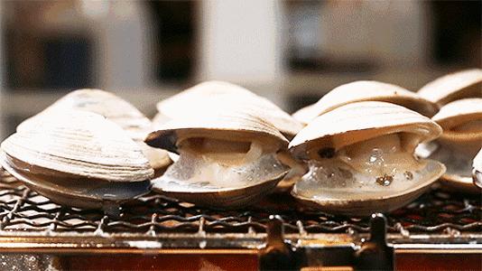 比顺德潮汕还生猛的海鲜之城,好吃到打个飞的也要去一趟