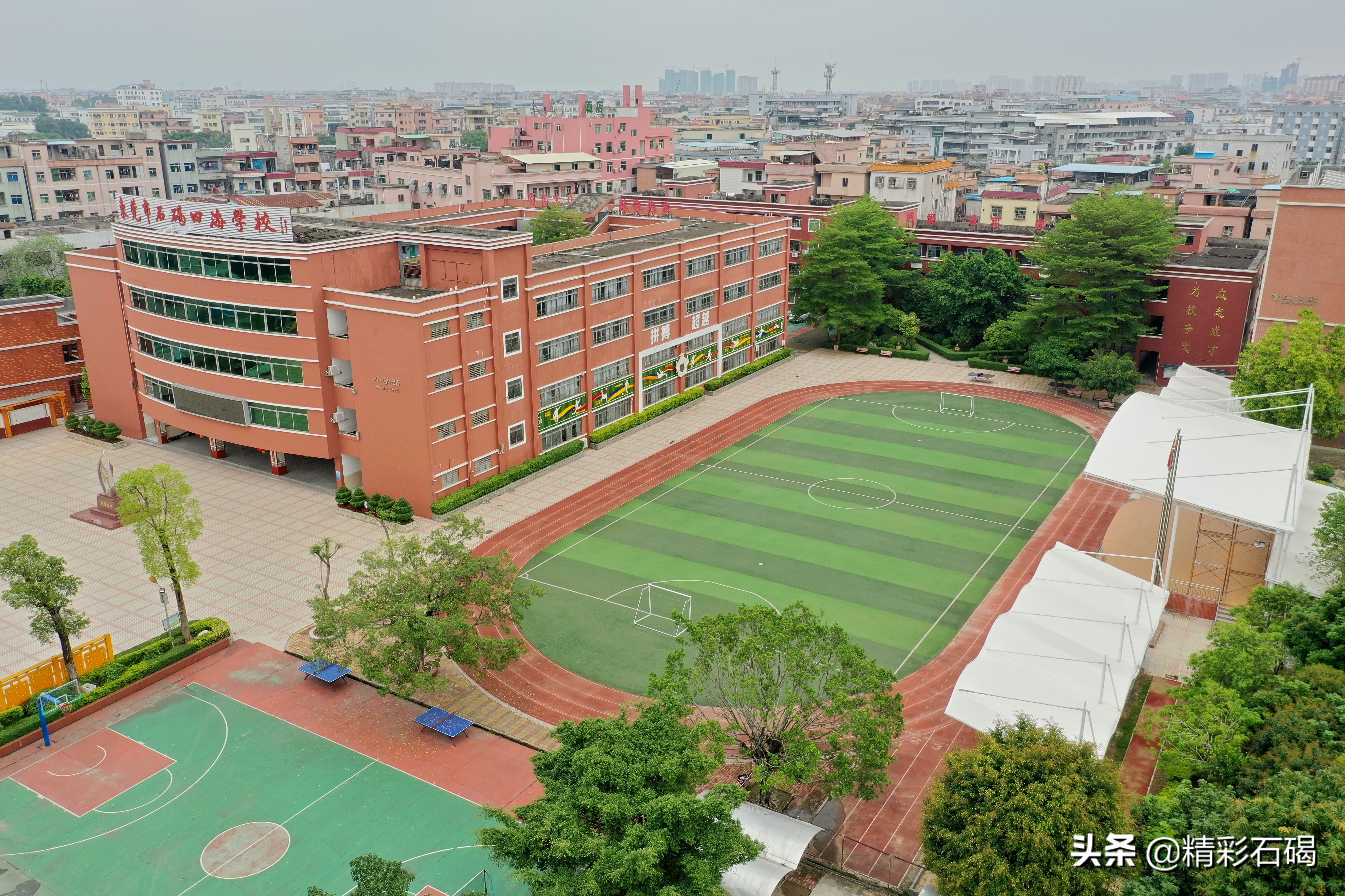 石碣四海学校是私立学校吗,东莞市石碣四海学校电话