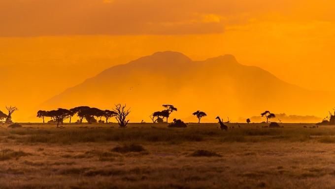 旅行攻略·肯尼亚:跟随《狮子王》震撼你的视觉,哈库拉,玛塔塔