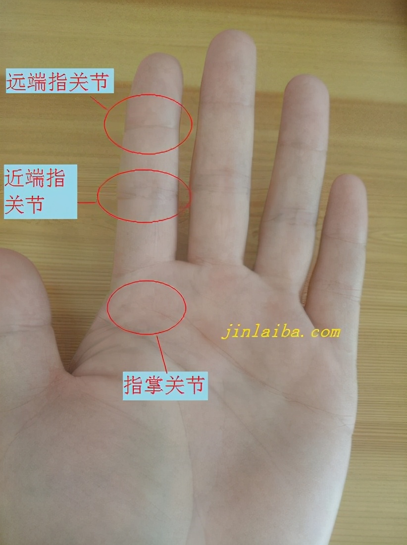 肩关节脱位骨折康复,跗跖关节骨折脱位康复视频