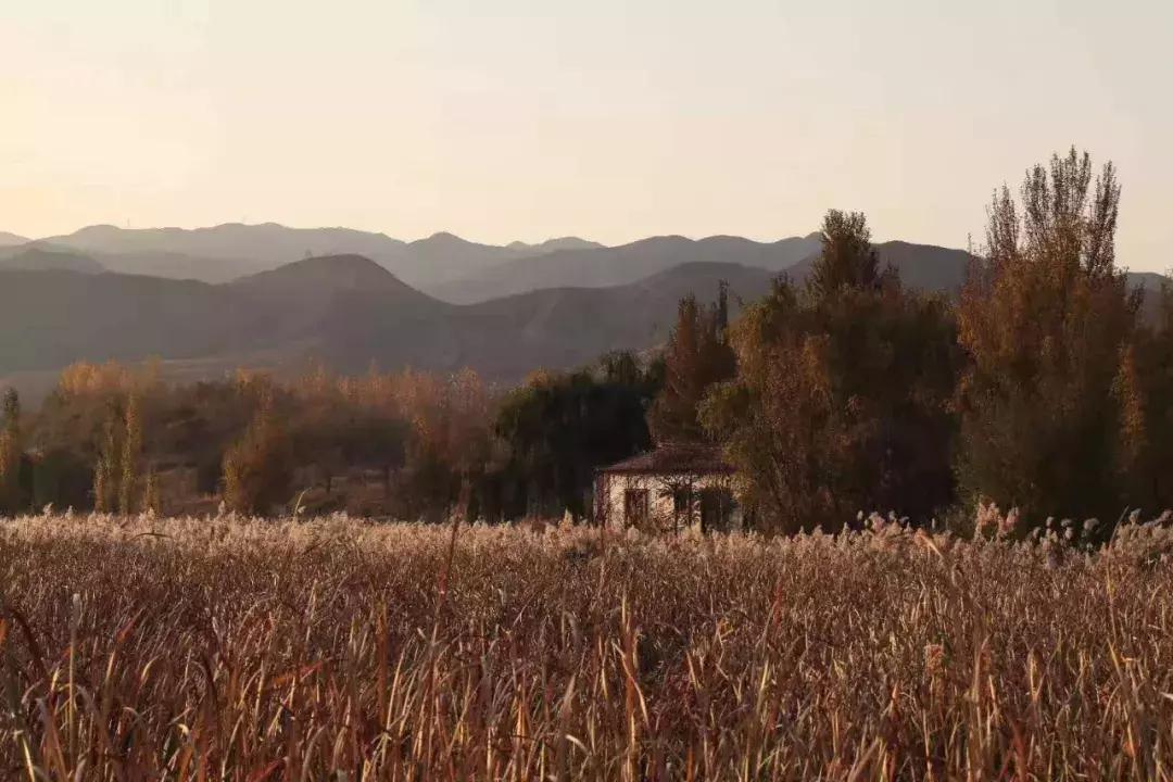 黄河宿集民宿旅游攻略,宁夏中卫宿集民宿酒店