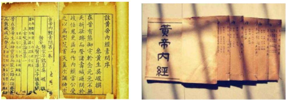 显微镜下的万花世界——走进病理学