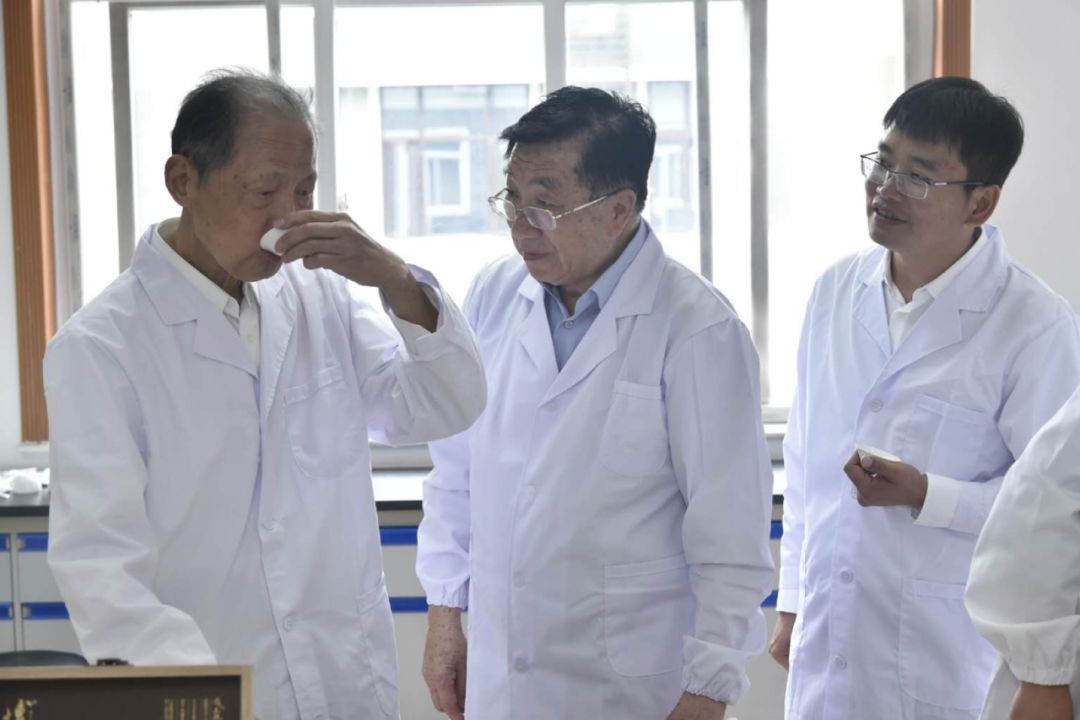 勐库戎氏博君熟茶,勐库戎氏博君生茶评价