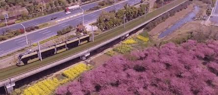 14亿元拿地costco将落户苏州,costco苏州拿地