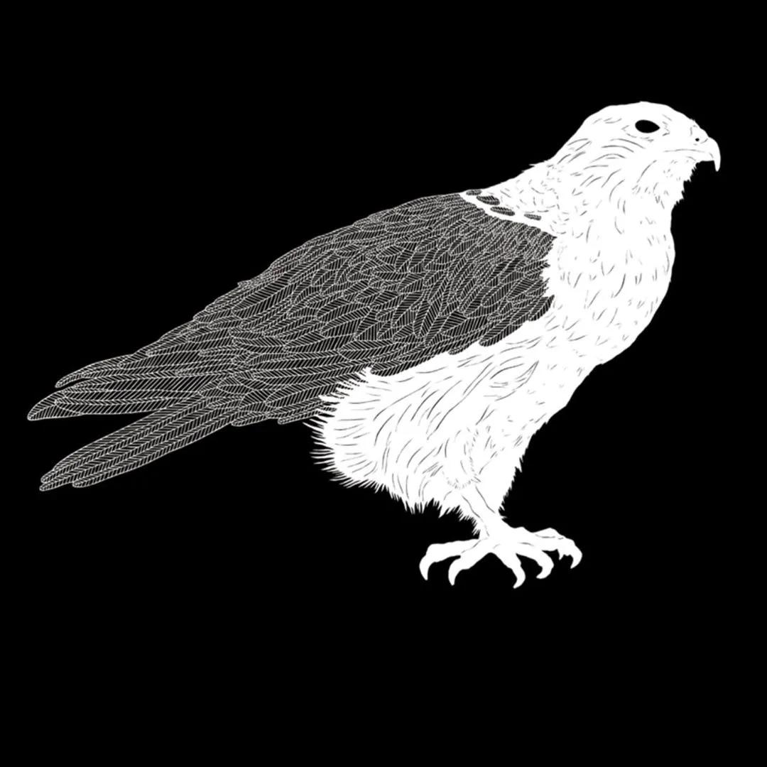 她用一把手术刀在2毛钱废报纸上雕出精美图腾,一幅卖60万