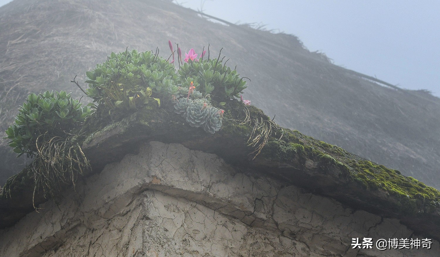 红河哈尼族彝族自治州阿者科村,云南元阳哈尼梯田阿者科村