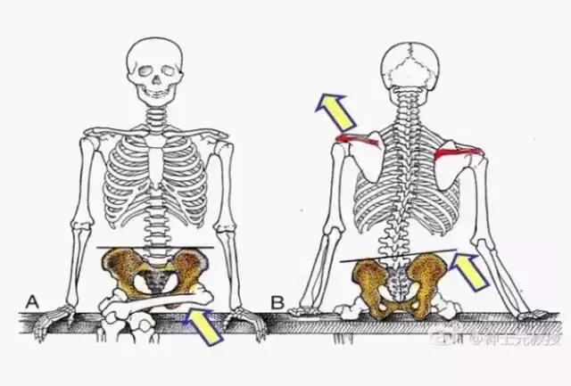 简单易学六个动作远离腰酸背痛,每天6个动作远离心脏病
