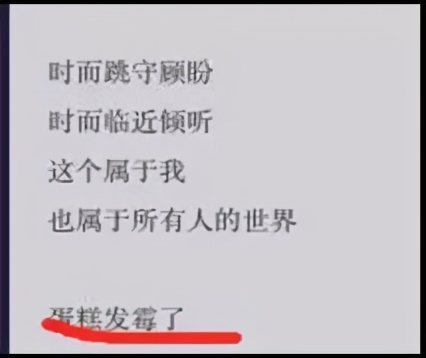 李菲儿绯闻男友,李菲儿历任男朋友