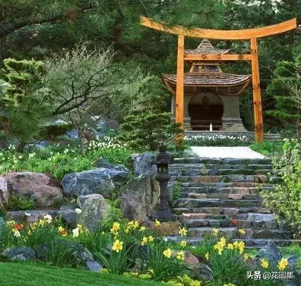 小小庭院,小小庭院满园春色