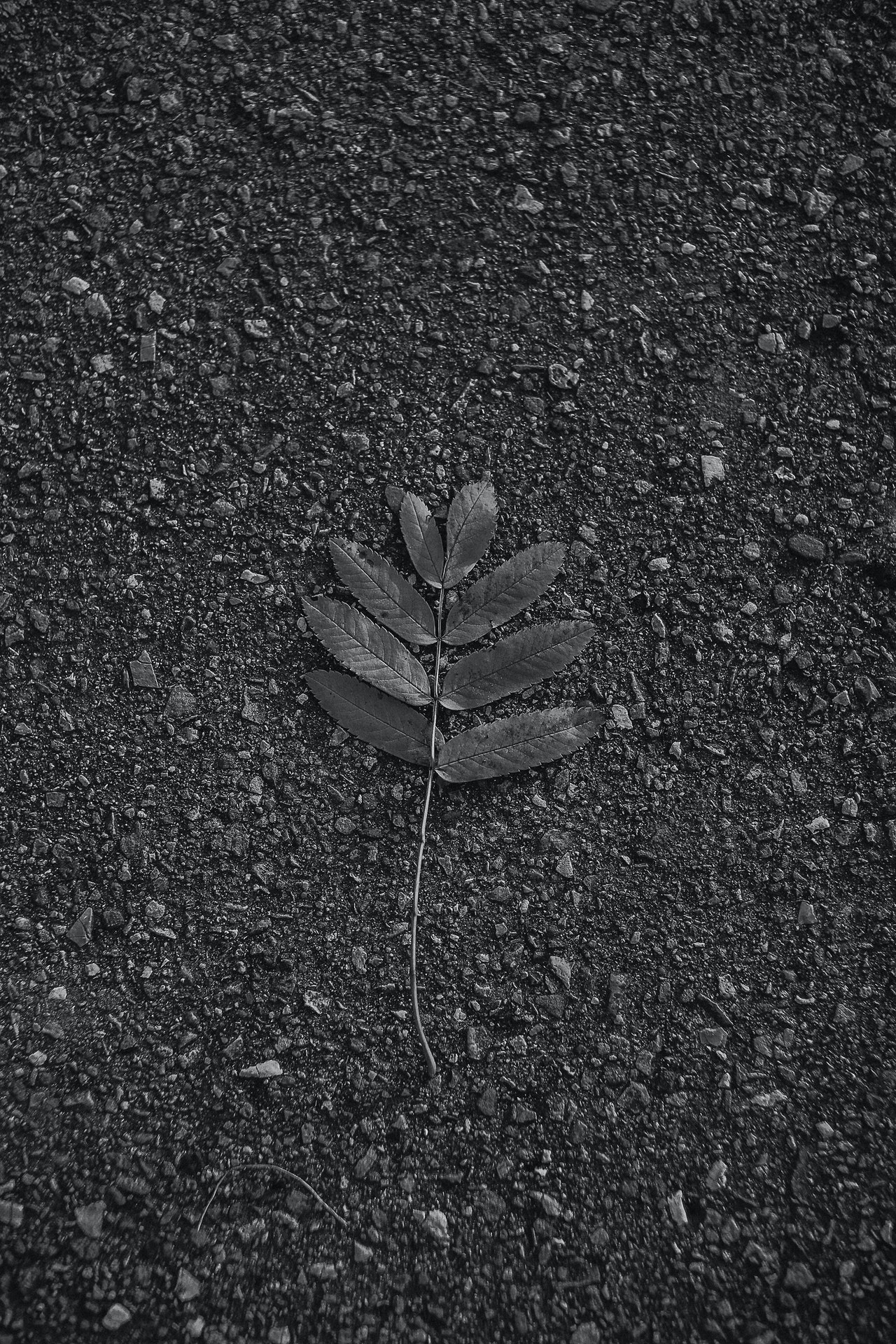 遇到社会垃圾怎么办,如何远离社会垃圾