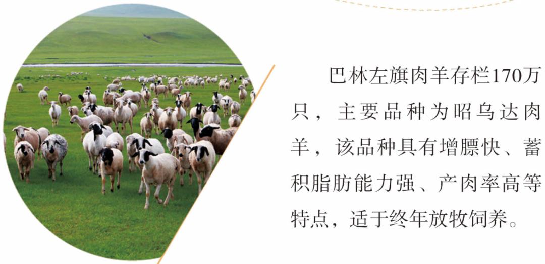 投资兴业沃土蕴藏无限商机——了解一下巴林左旗