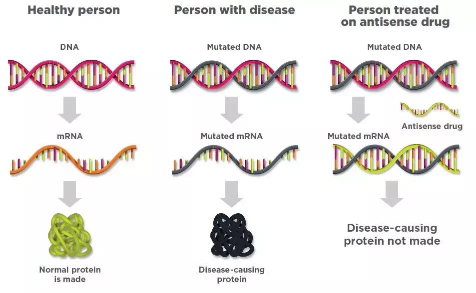 鍙嶅鏍歌嫹閰歌嵂鐗╂不鎰堢綍瑙佺梾,鍙嶄箟瀵℃牳鑻烽吀鑽墿鑾锋壒涓村簥