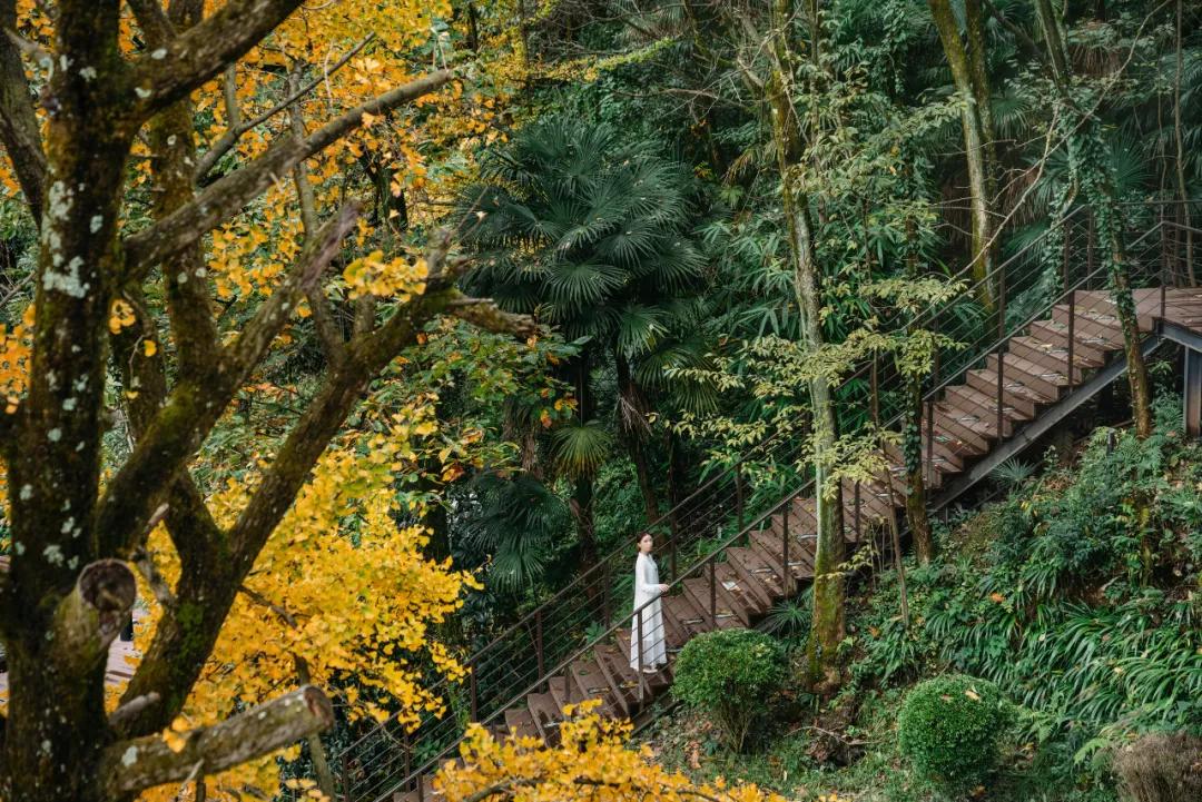 成都出发1.5h,藏在青城后山网红轻奢度假民宿,丨桐去隐泉