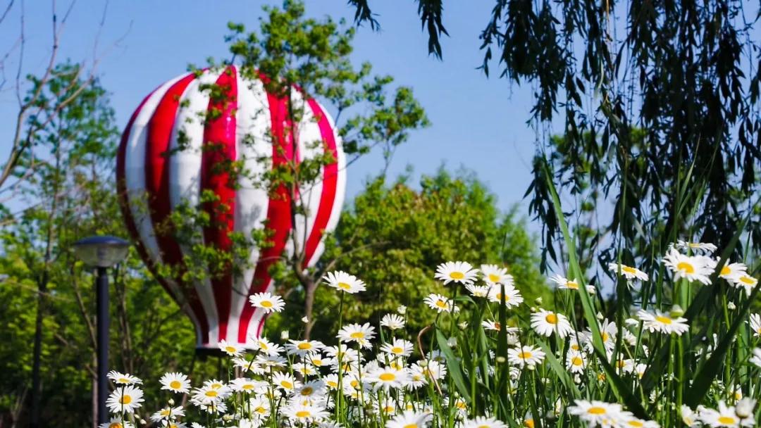 灌云有什么游玩的景点吗,灌云旅游景点推荐一日游