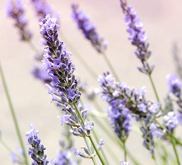 用了那么多年的纸巾你用对了吗,用了这么多年的牙膏你用对了么