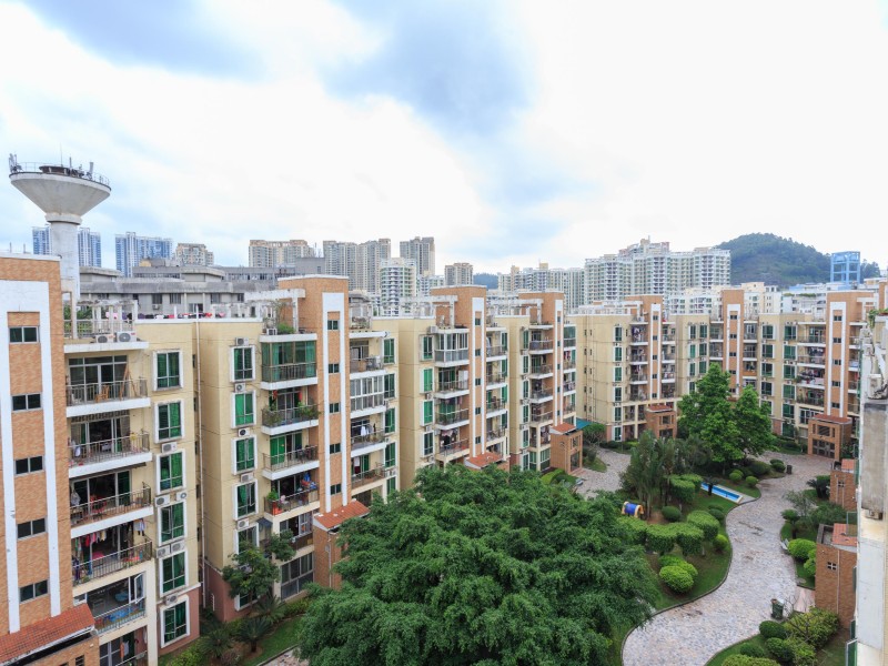 深圳市最牛公办初中部,深圳最牛的学校