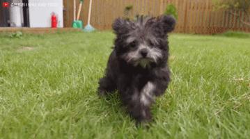 tony老师高阶换头术,90后tony老师换头术