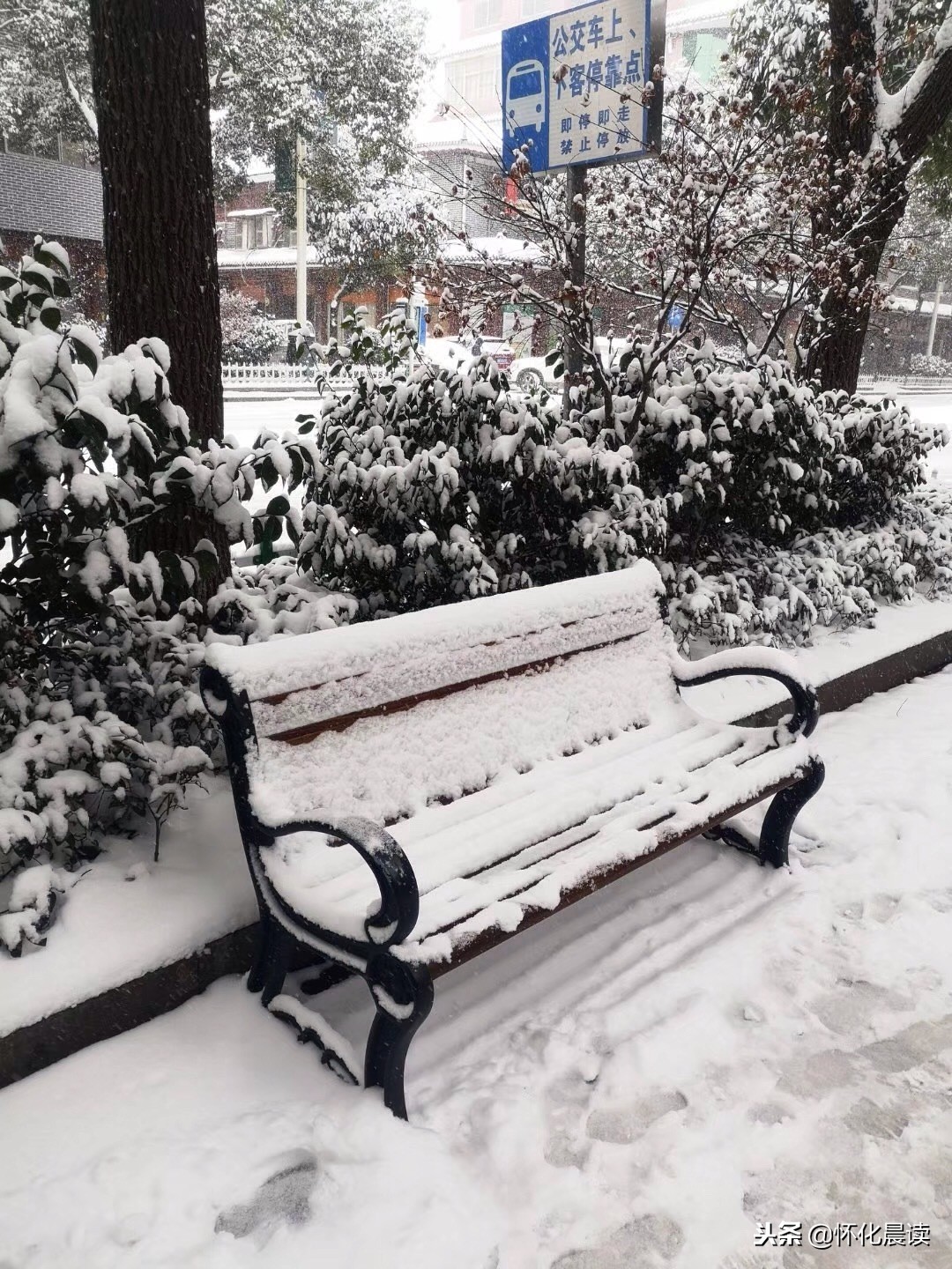 一场雪惊艳了一座城视频,一场雪激发了多少创造力