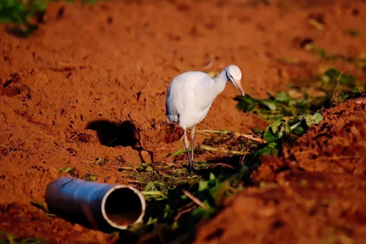 新手摄影怎么拍出质感,新手如何拍出好的作品