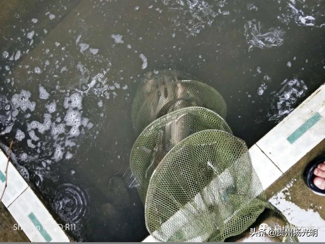 璐靛窞涓栧妗冩簮缇庢櫙,璐靛窞涓栧妗冩簮椋庢櫙