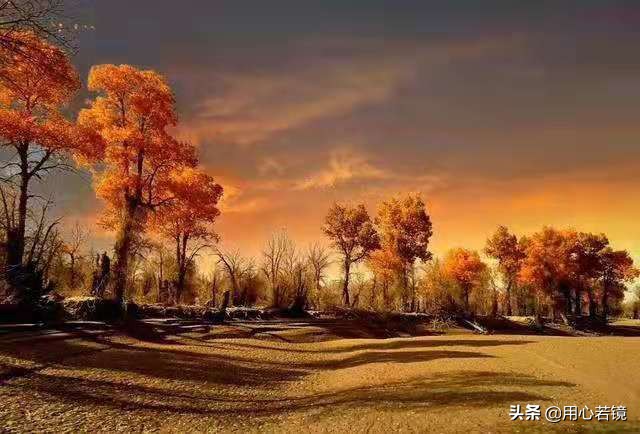 王阳明讲自省,王阳明学会反省