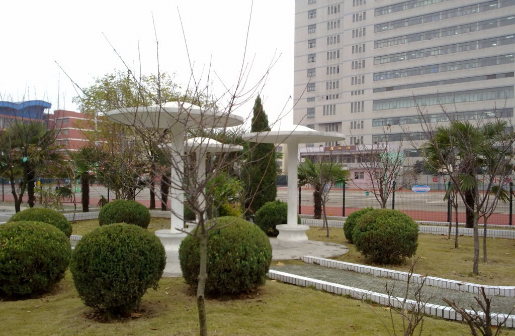 安徽阜阳市有啥中学,阜阳市省重点高中有哪些