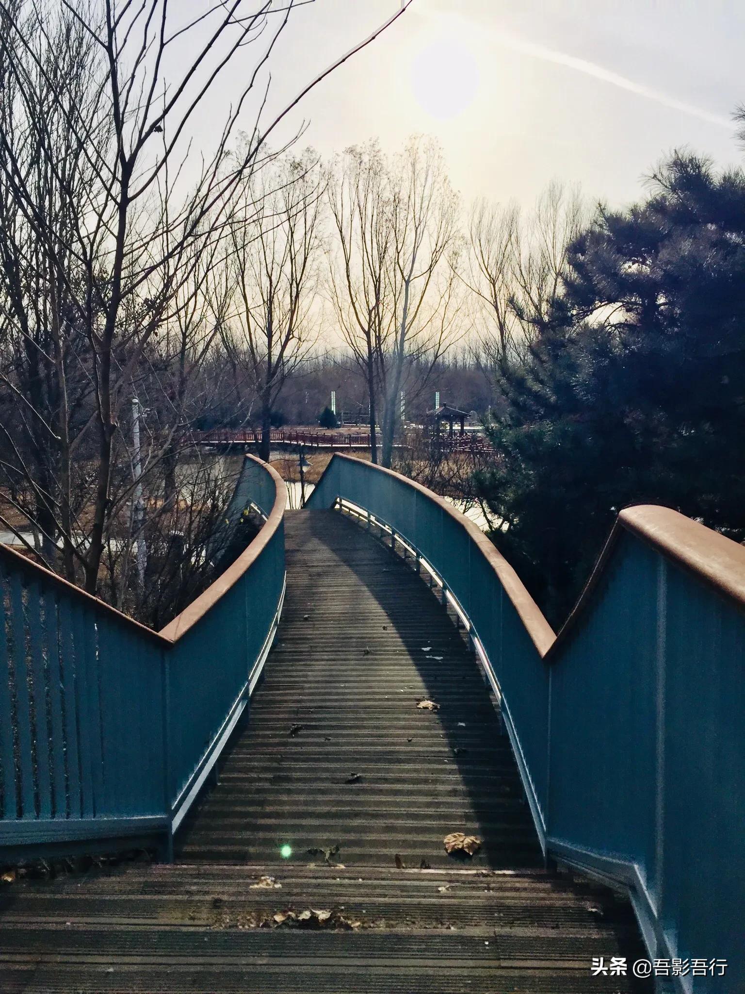 武清津北森林公园有哪些景色,天津武清森林公园开放时间表