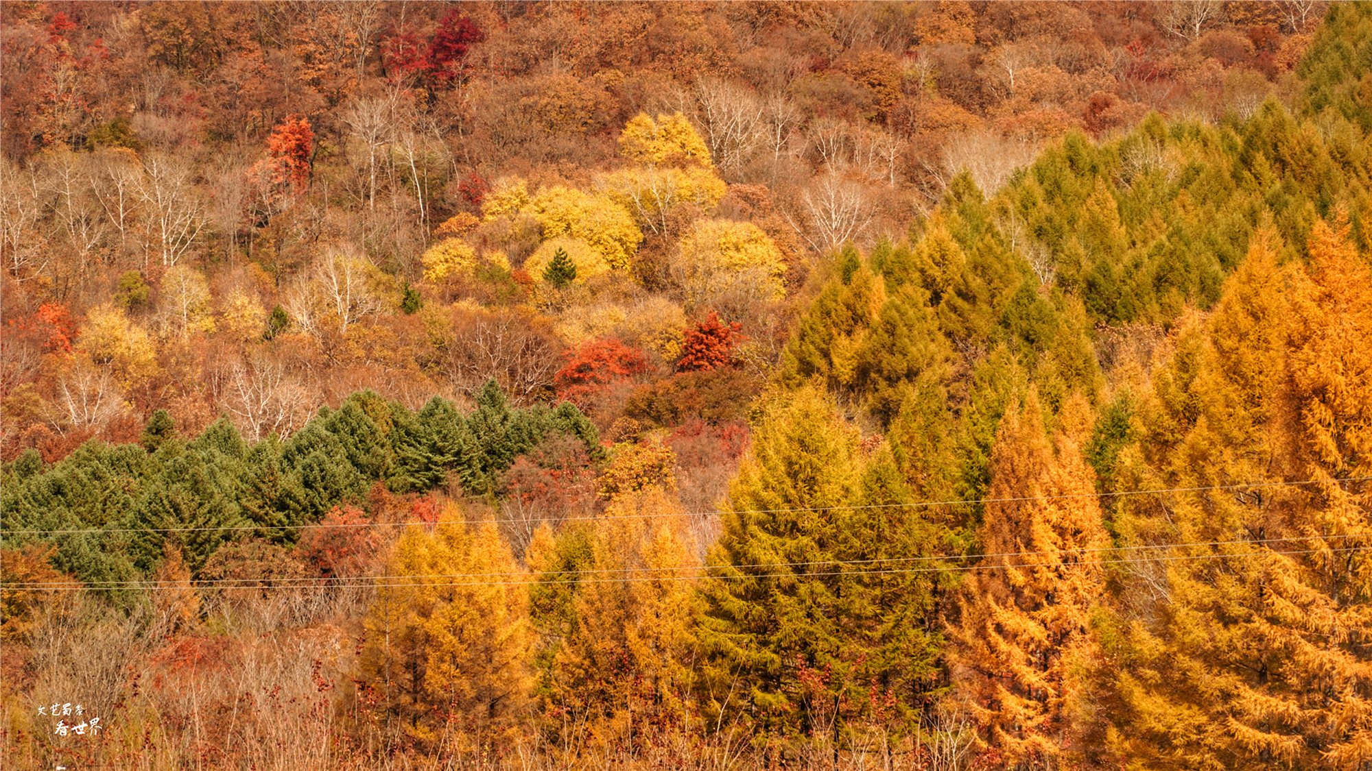 本溪关门山看枫叶最佳游览路线,本溪红叶层林尽染自驾游攻略