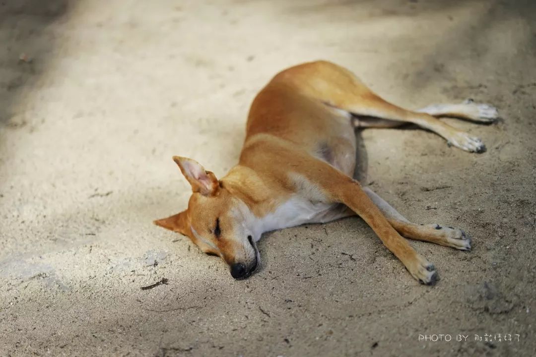 菲律宾冷门景区 (菲律宾锡基霍尔岛冲浪)