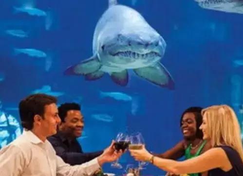 海底餐厅推荐大全,高级海底餐厅